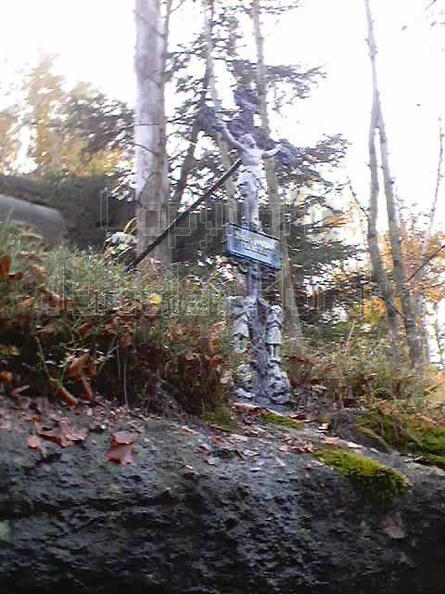 HQ11 - pomnicek u cesty z Bileho Potoka na Vlci louku, na SZ svahu Smedavske hory